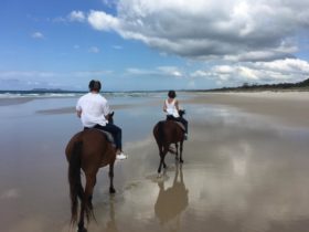 Beach riding