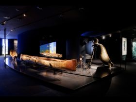 Shaped by the Sea Exhibition View