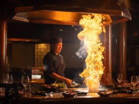 Shiki Teppanyaki
