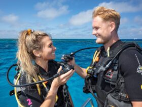 divers check