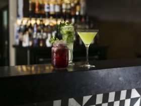 Walrus Social House