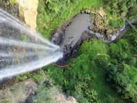 Springbrook Falls
