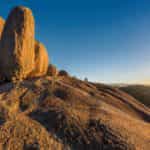 Girraween National Park