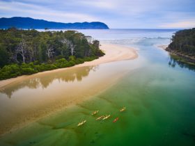 Southern Sea Ventures
