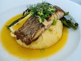 barramundi