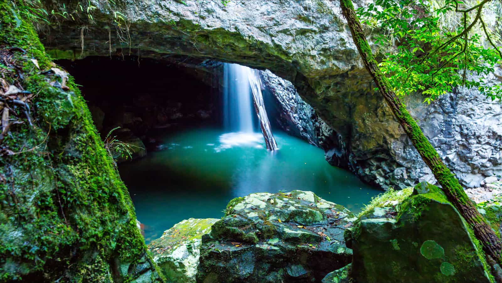 Springbrook, Natural Bridge