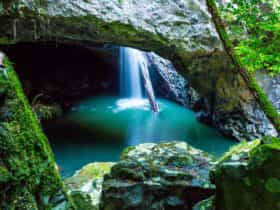 Springbrook, Natural Bridge