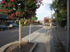 Springwood