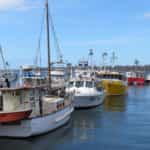 Fishing Boats