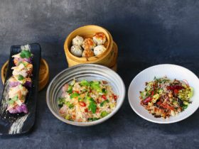Asian appetizers