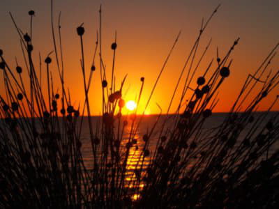 Things to do in South Australia