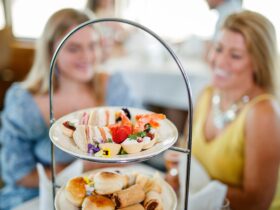 Cruise onboard our premium vessels