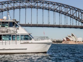 Jerry Bailey on Sydney Harbour