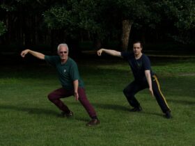 crouching single whip preparation posture