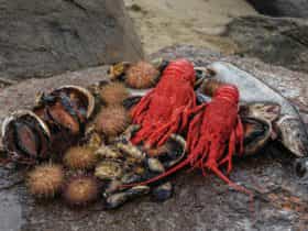Tasmanian Seafood Seduction