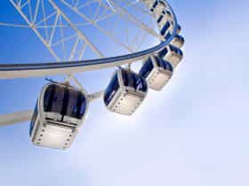 The Wheel of Brisbane, South Bank