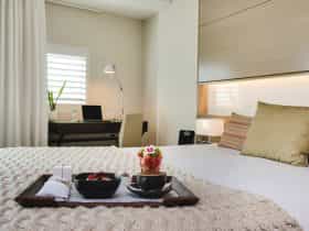 Deluxe Guest Room