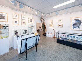 UMI Arts Giftshop