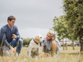 Truffle Hunt