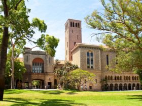 The University of Western Australia