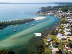 Tide