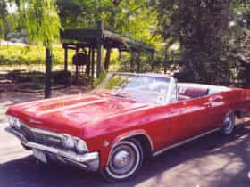 Convertible Tours