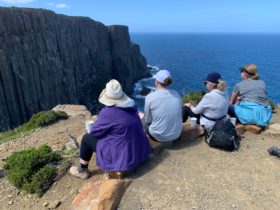 Tasman Peninsula Walking Experience