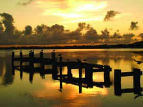 Tuggerah