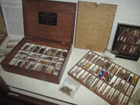 Materia Medica