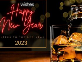 Cellarbrations Erindale