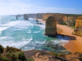 Great Ocean Road Day Tour