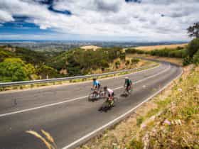 Cycling through the Adelaide Hills. Guided Rides and support car.
