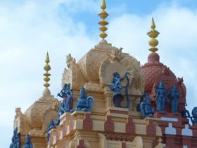 Statues and spires atop the Vishni Siva Mandir Temple and Library