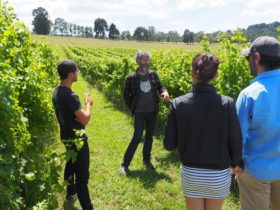Gourmet-Gippsland-Escape-Food-and-Wine-Tour