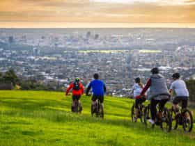 ebike e-bike emtb hire