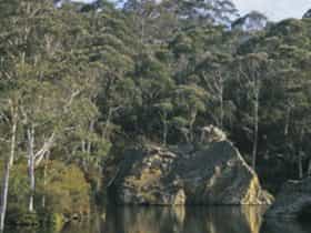 Woodford