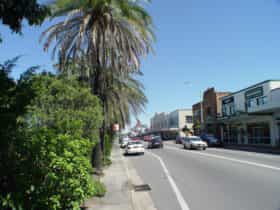 Wyong