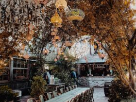 Top things to see and do in Alexandria.